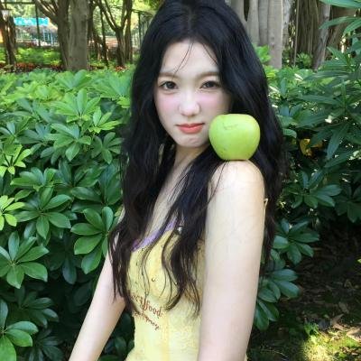 红盾先锋