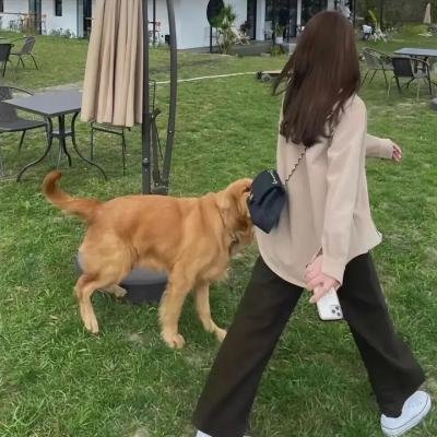 忠贞测试者