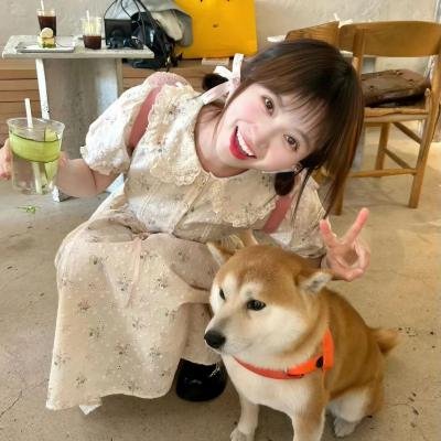 外交秘闻
